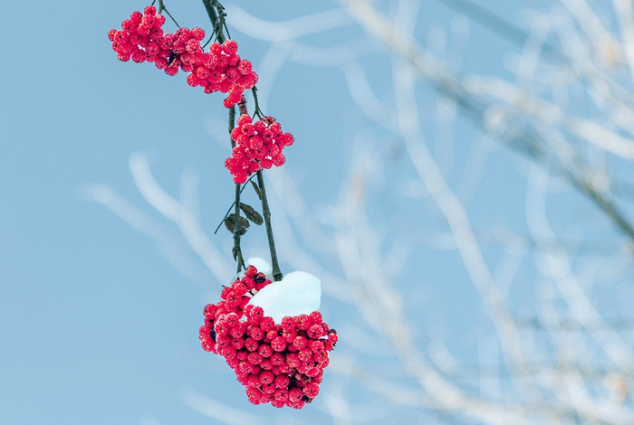 【萊沃醫(yī)療：知識(shí)分享】今日小雪，快“藏”好這份健康秘籍！